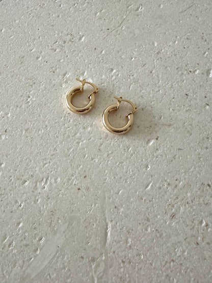 Chloe Hoops Earrings