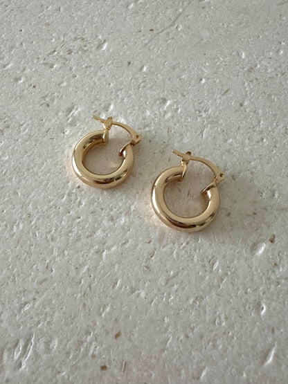 Chloe Hoops Earrings