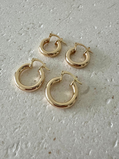 Chloe Hoops Earrings